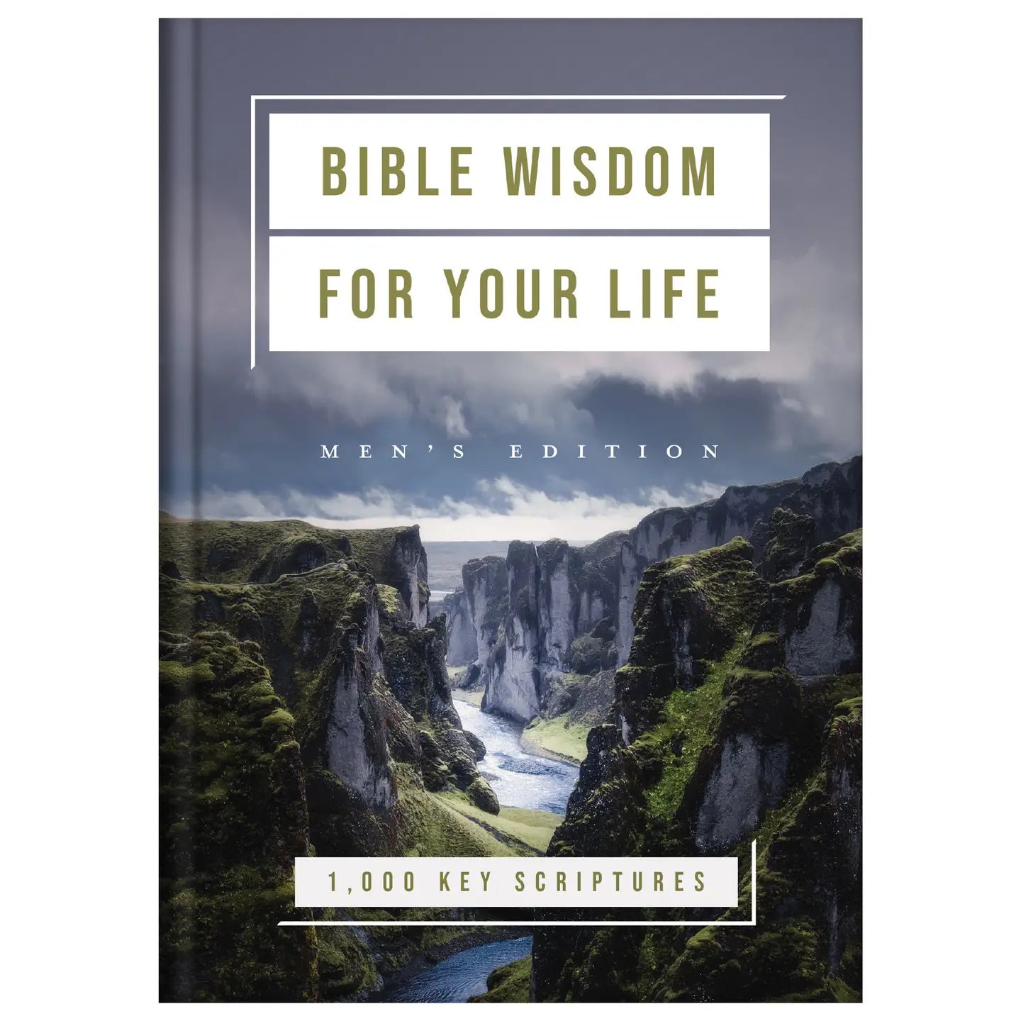 Bible Wisdom for Your Life Men's Edition